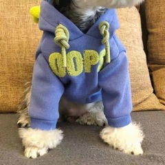ペット犬犬猫2足冬服保温かわいい子猫英短青猫秋冬天猫服