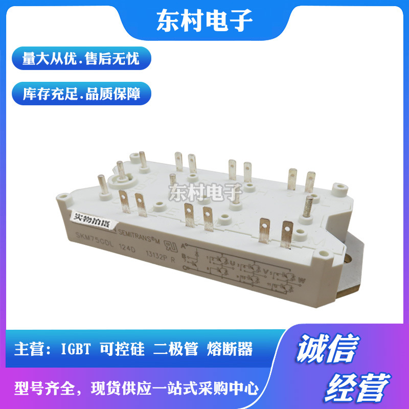 全新SKM75GDL123D SKM75GDL124D SKMD202E01  IGBT模块现货可控硅