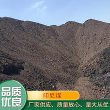 厂家供应鼎宏新能源 低硫低灰印尼煤价格实在 量大从优批发