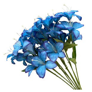 ��c���滨��Y�ñ����b�ˇ�F���{ɫ����õ��ĵ���ٻ��͏d�[�O