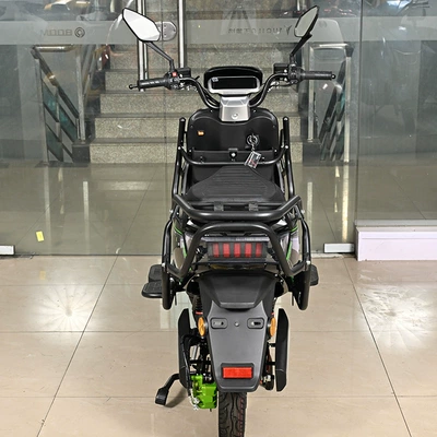 Motorcycle Factory Wholesale, Elektrikli motosikletlər