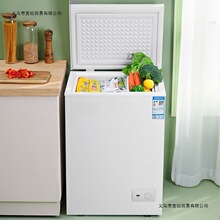 小冰柜家用全冷冻小型冷柜保鲜箱两用冷藏冷冻柜卧式冷柜工厂跨境