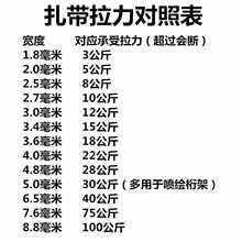 PEP3扎带尼龙扎带3*4*150 5*200 8*300 10*400扎线带塑料封条防调