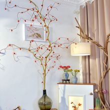 精品金龙柳2米大支大型水培植物室内枝条鲜切水养绿植生根发芽