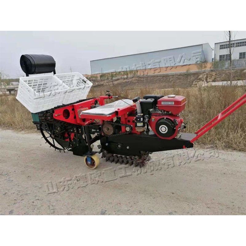Tractor üçün soğan əkmə maşını, iki cərgəli