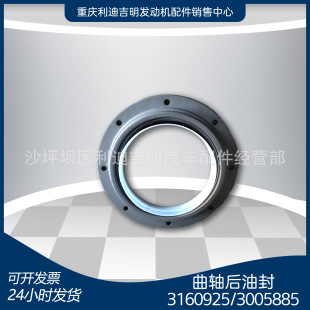 k19 k38發電機組配件 Nt855 發動機零件 曲軸后油封3160925 30058