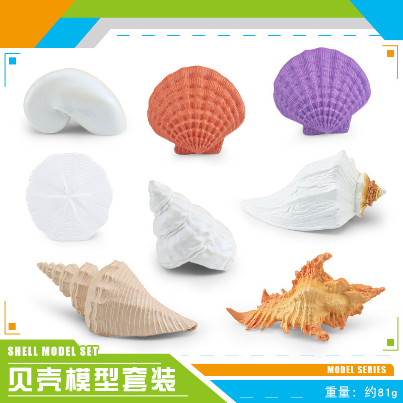 BL - 1280 Conchas de 8 conjuntos 81g