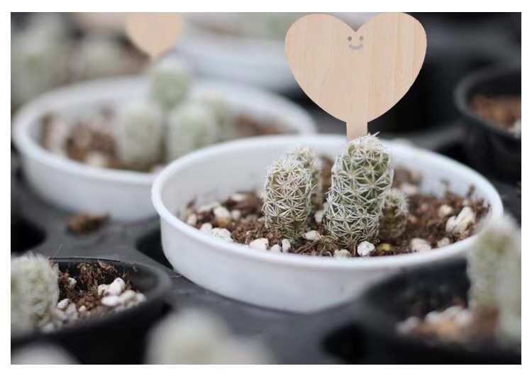 b0fb94aaf06681b92e1879a333d7ab