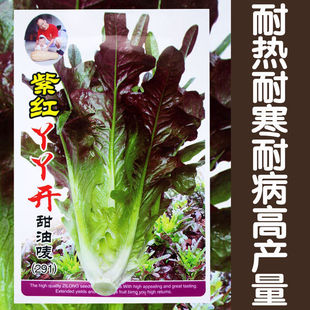 �ϼtѾѾ�_���͇O�N���ļ������������̨�����r�ҷNֲ����߲���