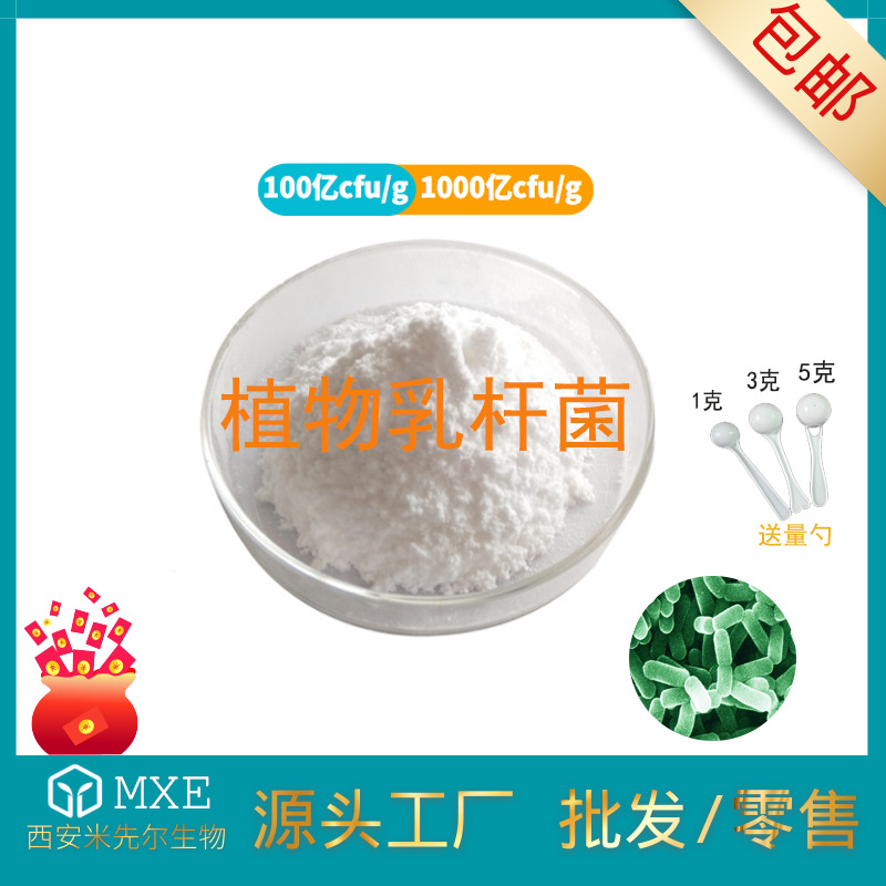 植物乳杆菌 1000亿/g多规格活性菌粉冻干型益生菌厂家【100g/袋】