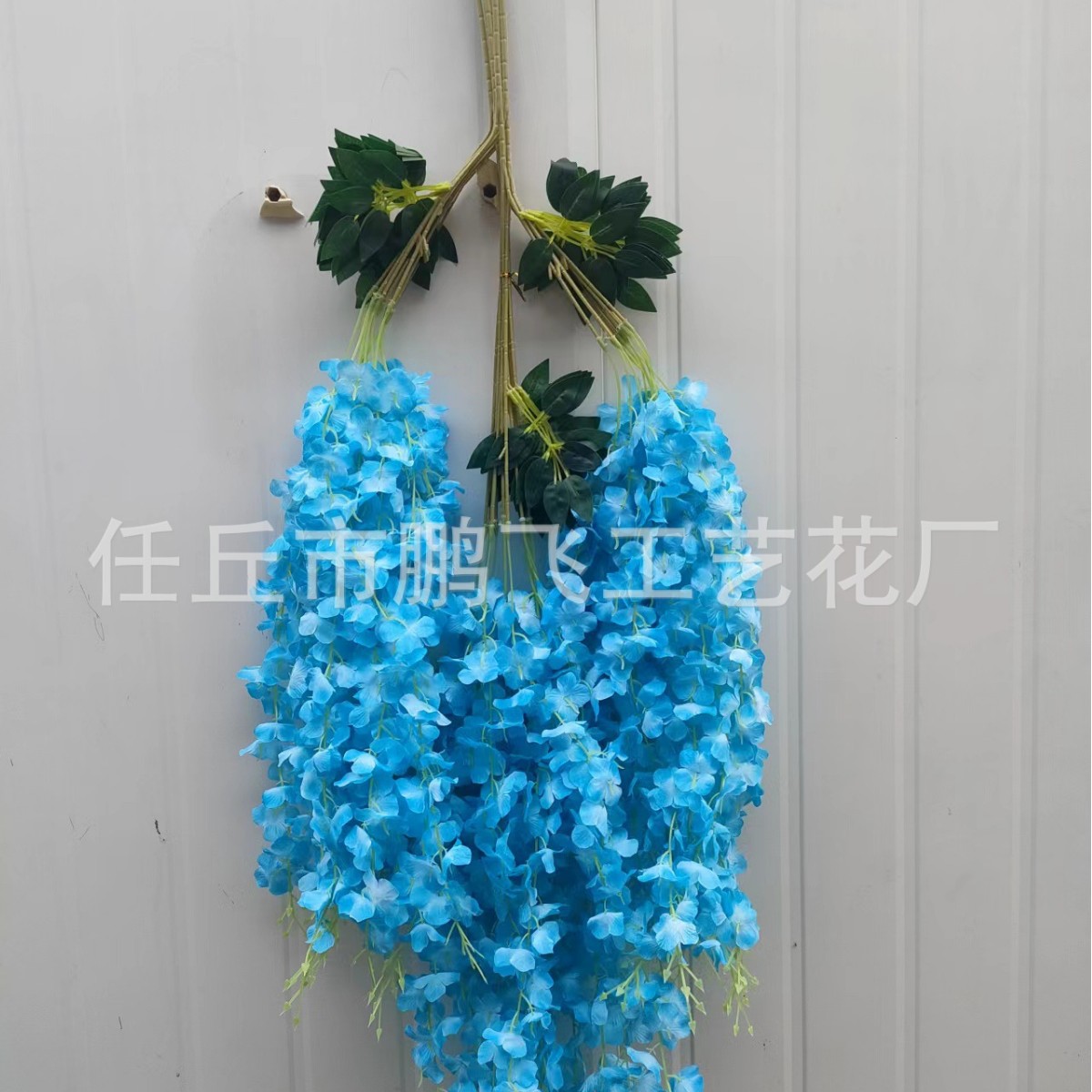 삼중 엽 톈란