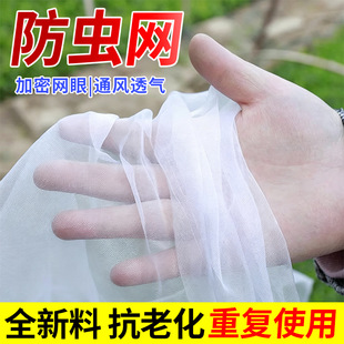 �r�÷��x�W�N�˿��ϻ�100Ŀ���o�W���＆�W������þW�ַ��x�B�W
