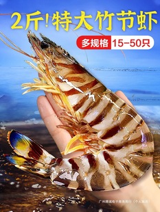 �Ź��r����߹��r�ش����r�����r���r���r�r�r���ك����r�ڻ��r