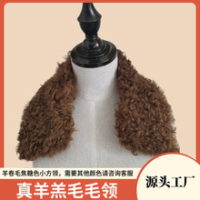 羊羔毛毛领羊毛方领大衣真毛皮毛一体帽子羽绒服翻领毛条羊羔绒