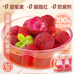 雲南徳和楊梅糖水フルーツ缶詰400g 業務用送料無料 新鮮な午後の食事に最適 雲南名物