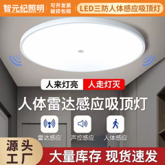 led感应灯楼梯过道吸顶灯楼道走廊灯红外人体自动感应雷达声控灯