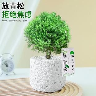 �����ɾGֲ�FڡС�����k�������F�ɷ��p��ֲ��С�[���҃ȃ����՚�