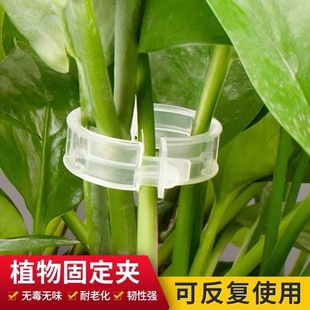 帐篷地钉