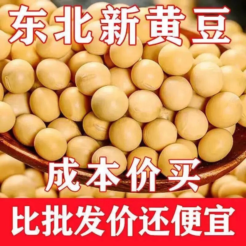 24年新大豆 5kg 5kg 東北大豆 農園産全粒豆乳もやし 非遺伝子組み換え大豆|undefined