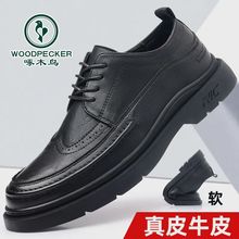 正品啄木鸟皮鞋男士真皮软底商务正装英伦风百搭透气休闲西装工作