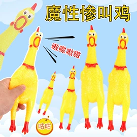 清洁球/刷;厨房小工具;衣钩/挂钩