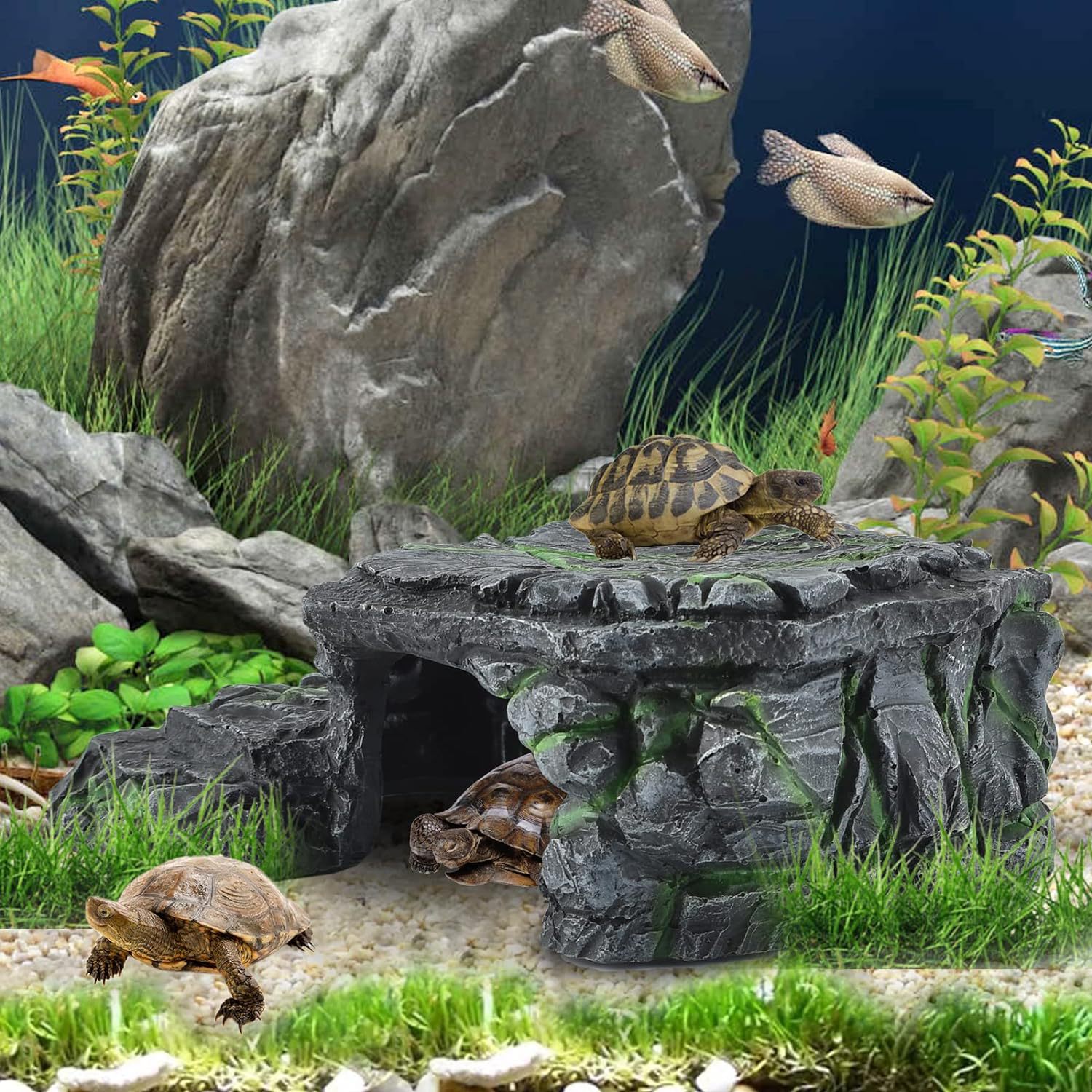 81ro7nh4q0L._AC_SL1500_