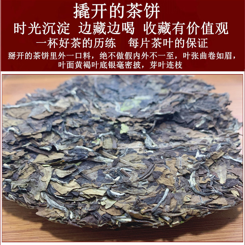 20N01KX1fDZ9PV2868193997062