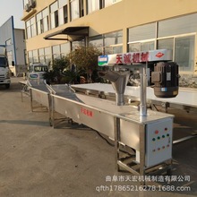 成套洋芋宽粉鲜粉机设备 天宏小型土豆鲜粉条流水线送技术