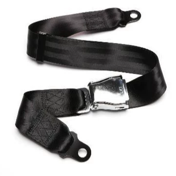 and waist belts according – Car seat belt