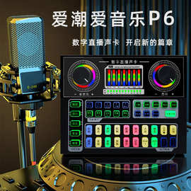 AUGER/奥歌  P6声卡套装 手机电脑K歌 抖音快手直播带货网红麦克