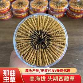 冬虫夏草西藏那曲虫草干货批发高海拔比如冬虫草玉树冬虫夏草代发
