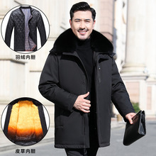 正品高档冬季鹅绒中老年爸爸男装羽绒服黄金貂内胆保暖中长款外套