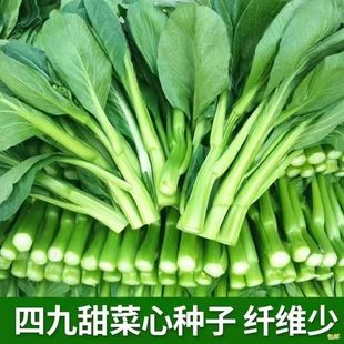 �V�|�ľŲ��ķN���ļ�������˰ײ�̦�N�Ѵ�ȫ�����߲˷N���Ӵ�ȫ