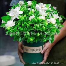 �d�ӻ����Ի����҃Ȏ�����֦֦���Gֲ����B�׻�����ȫ�ļ��_��