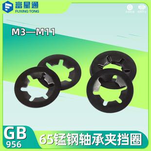 65�i�÷���|Ȧ�S�ЊA��Ȧ����ƽ���AM3-M12