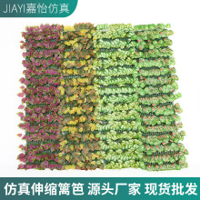 ������s�h�ʖřڇ����������ϼپGֲͥԺ�����b��~���ړ�ֲ��