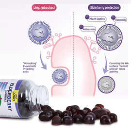 跨境可贴标黑接骨木莓软糖海藻接骨木莓软糖儿童维生素软糖