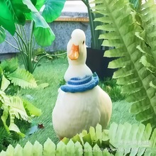 �W�t� ��������Ȍ����� Ԓ���� ����������l�ܾ�� ���������