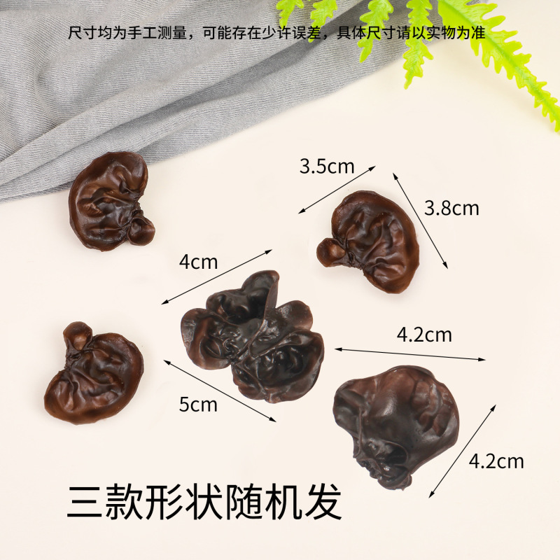 仿真火锅食材道具仿真蔬菜西蓝花玉米海带结香菇玉米摆件摄影道具|undefined