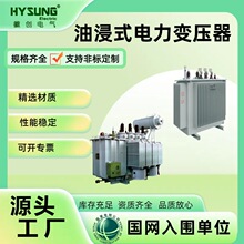 �����ͽ�ʽ׃����S11 S10 S11 S12 13�߉�������׃����10/0.4KV