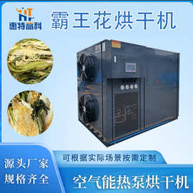 霸王花烘干机 开闭环除湿机 高温热泵空气能烘干机蔬菜烘干设备