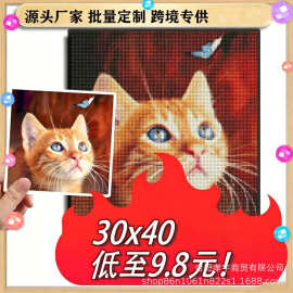 跨境专供5D手工DIY钻石画来图定制任何尺寸图片带钻包工具包