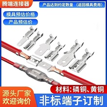 ��ɽӾ�����6.3/4.8/2.8���~���^�䉺�Ӳ����Ƭ�B������ĸ����