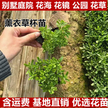 ����޹�²������Դ����^�p���ݹ��@�e��ͥԺ���ݻ��R����G����ľ