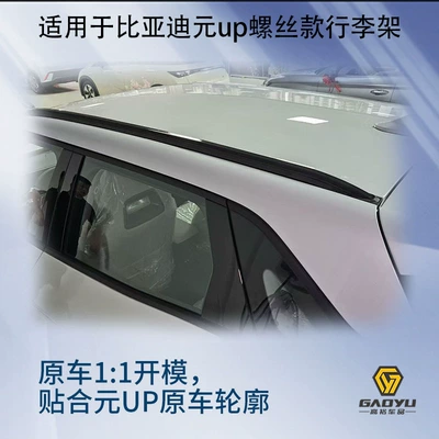 bar, BYD Atto2, Roof rack