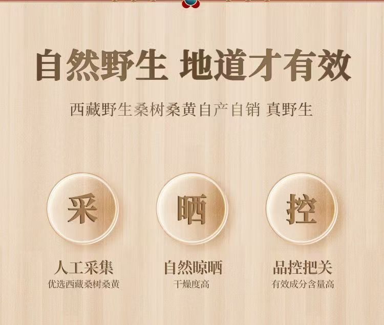 Sang Huang Mulberry Yellow Fungus Sliced 100g Bag Traditional Herbal Wellness for Middle Aged and Older Adults in use
