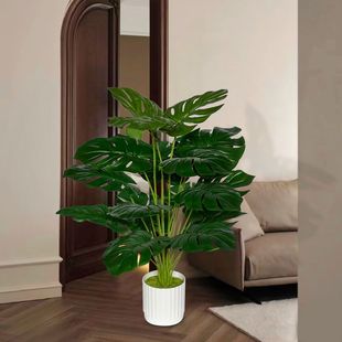 �����B���W����Gֲ�����p�ݿ͏d���P�Ž��~����b[���҃�����