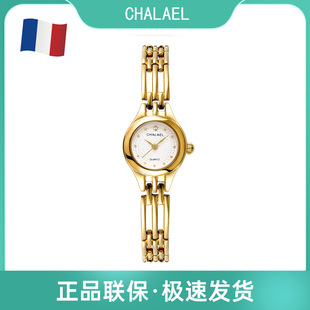 CHALAELѩ�ǚW�й��L��������ֱ��p��С���͹�ŮʿʯӢ���ֱ�Ů