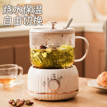 多功能电炖杯养生壶办公室电热杯花茶壶煮茶器家用伴手礼可定LOGO