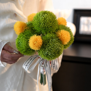 sLGʯ滨ٻGb[P쾰ֲ[O